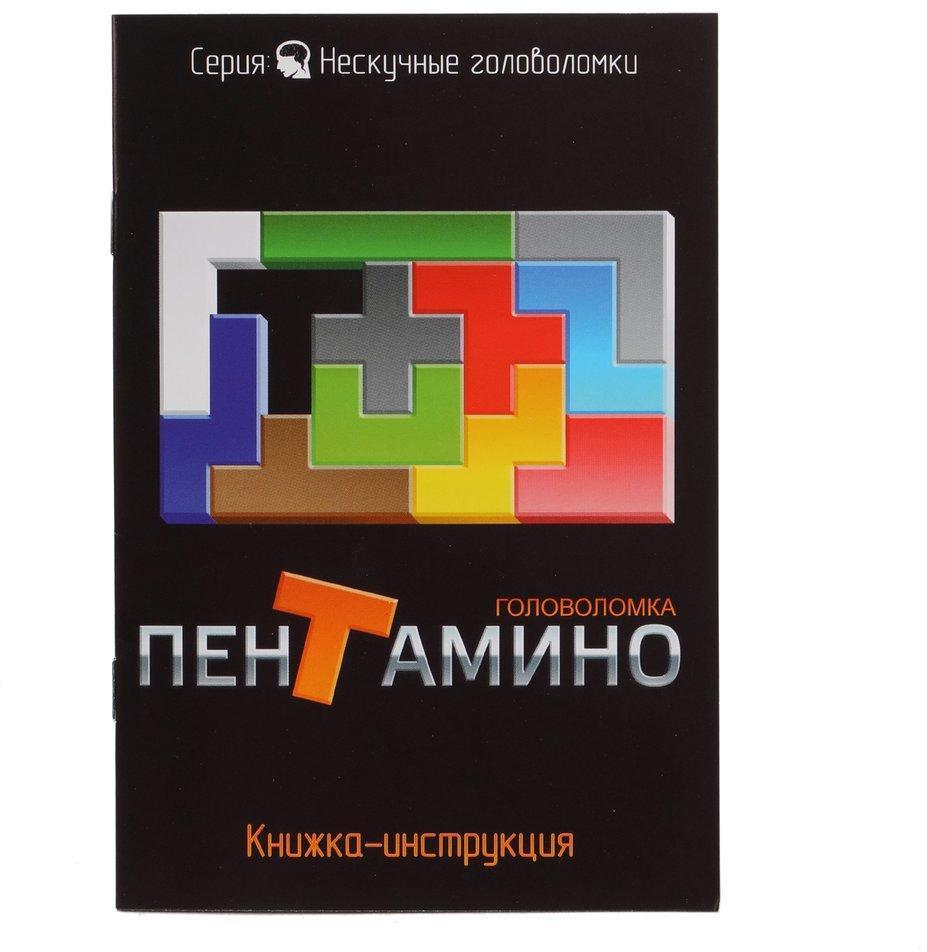 Игра-головоломка Пентамино