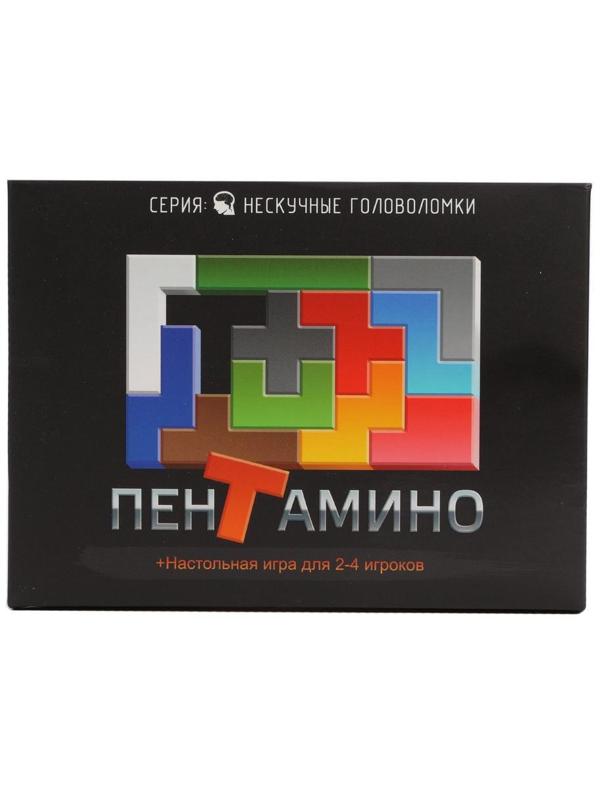 Игра-головоломка Пентамино