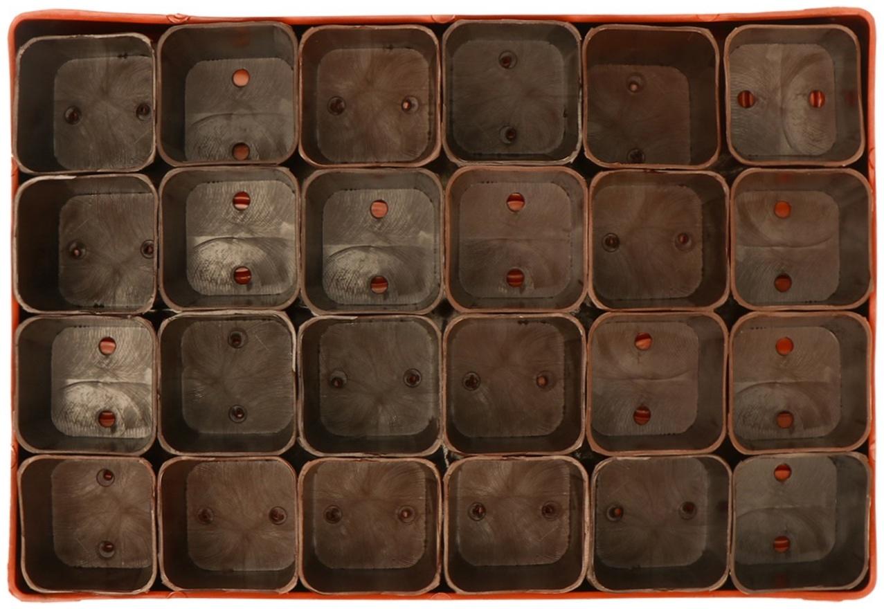 Набор для рассады: стаканы по 70 мл (24 шт.), поддон 29,5 × 20 см, МИКС