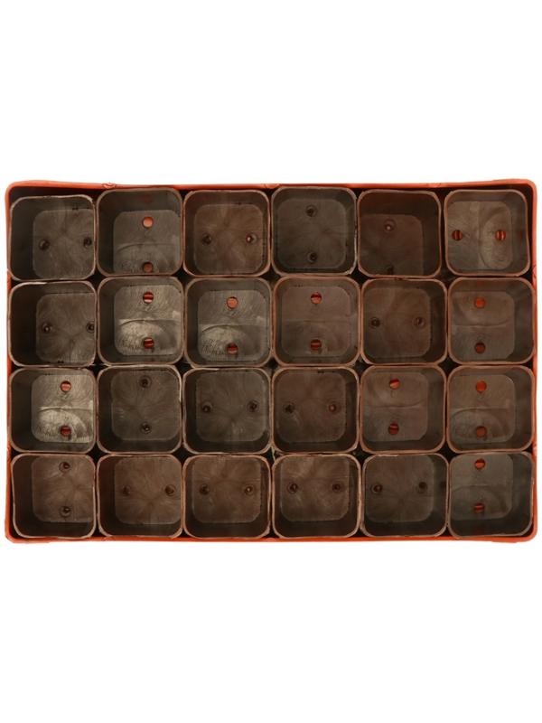 Набор для рассады: стаканы по 70 мл (24 шт.), поддон 29,5 × 20 см, МИКС