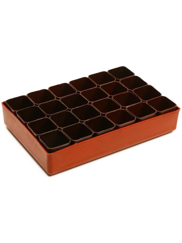 Набор для рассады: стаканы по 70 мл (24 шт.), поддон 29,5 × 20 см, МИКС