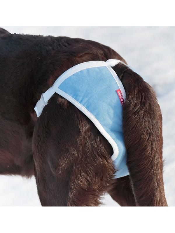 Трусы для собак многоразовые OSSO ABSORB, размер M