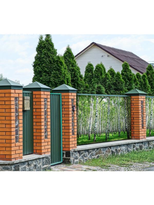 Фотобаннер, 250 × 150 см, с фотопечатью, люверсы шаг 1 м, с люверсами, «Берёзовая роща»