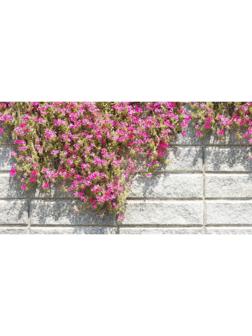 Фотобаннер, 300 × 200 см, с фотопечатью, люверсы шаг 1 м, «Стена с цветами»