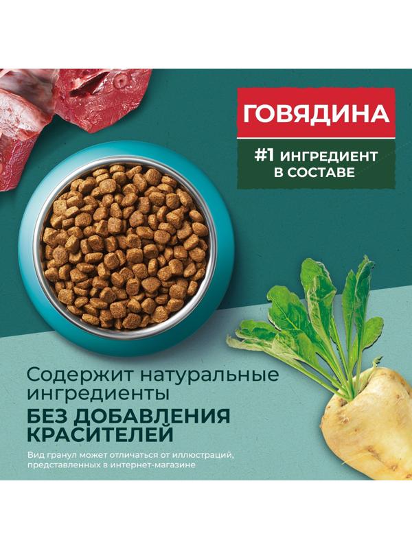 Сухой корм Purina One 
