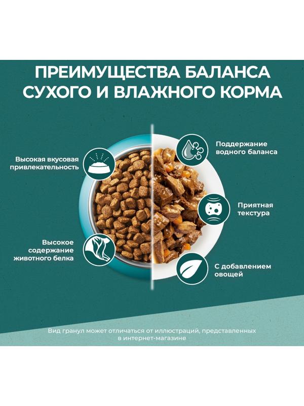 Сухой корм Purina One 