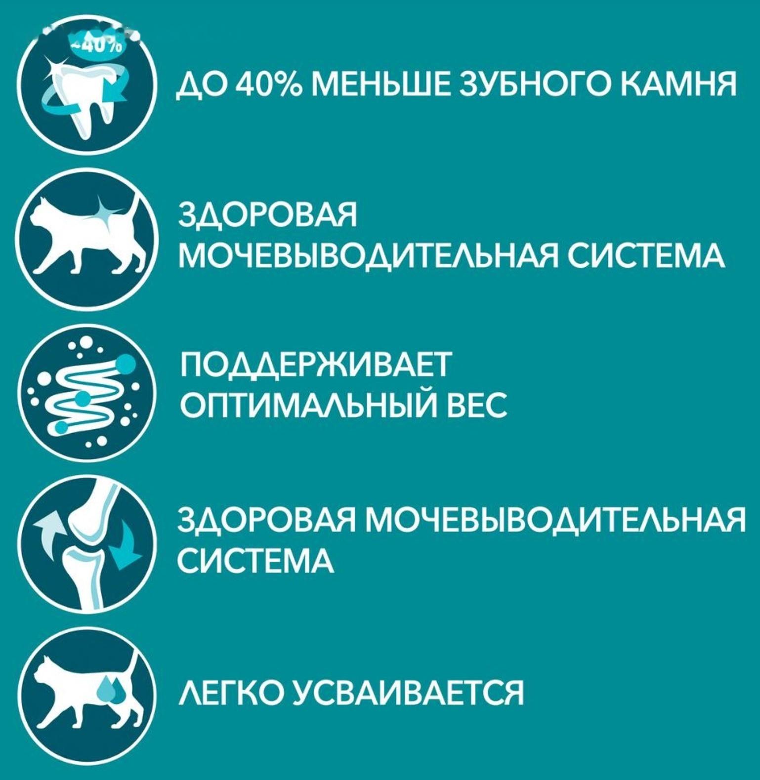 Влажный корм Purinа One для кошек, говядина/морковь, 75 г