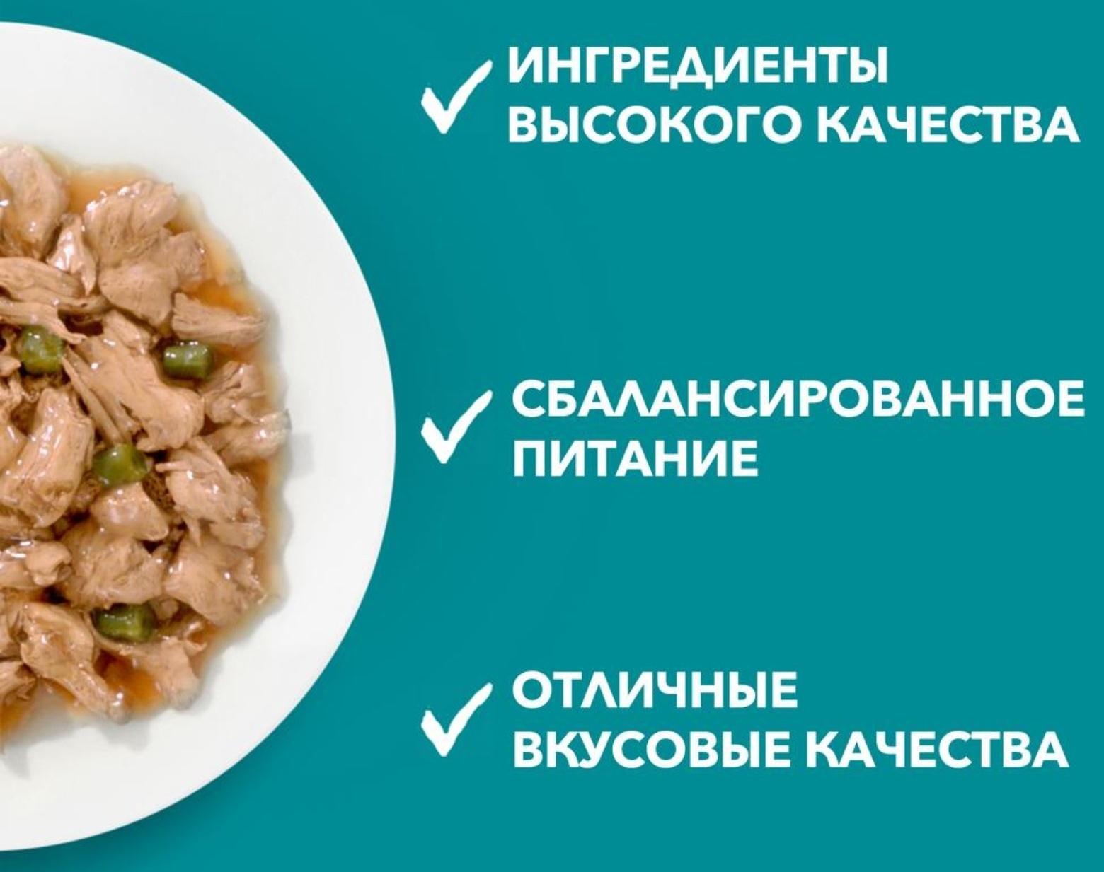 Влажный корм Purinа One для кошек, говядина/морковь, 75 г