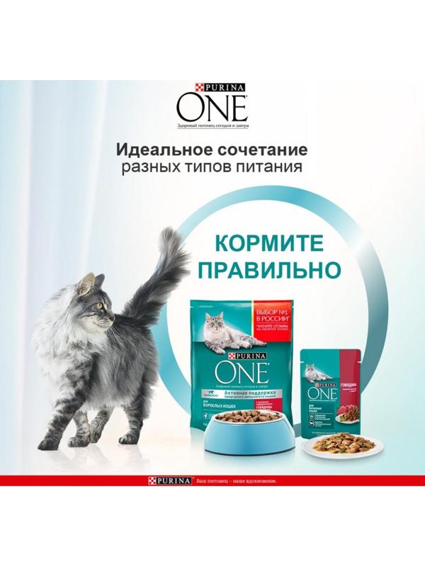 Влажный корм Purinа One для кошек, говядина/морковь, 75 г