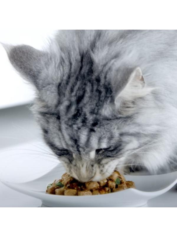 Влажный корм Purinа One для домашних кошек, курица/морковь, 75г