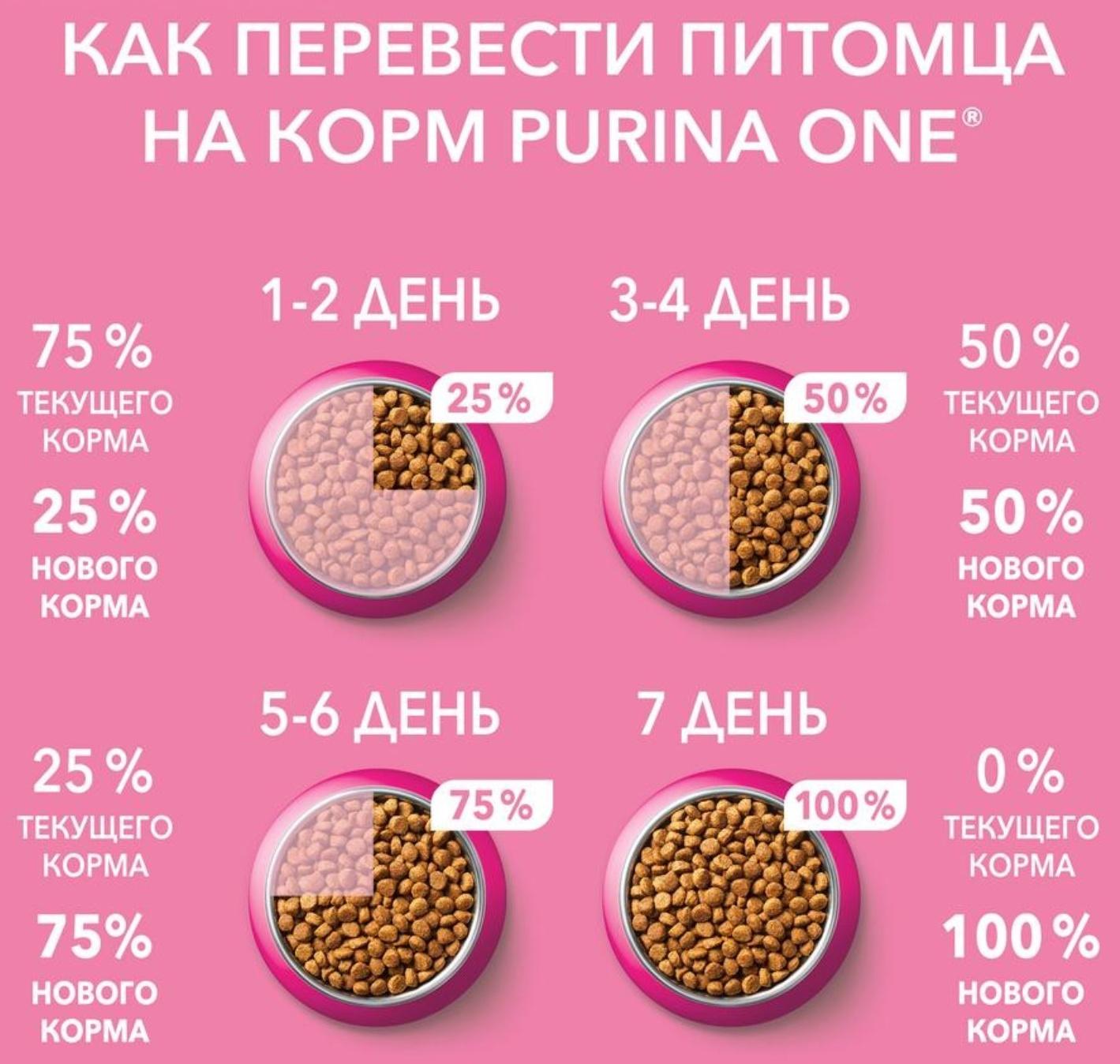 Влажный корм Purinа One для котят, курица/морковь, 75 г