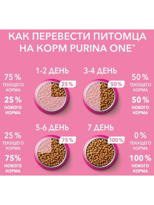 Влажный корм Purinа One для котят, курица/морковь, 75 г