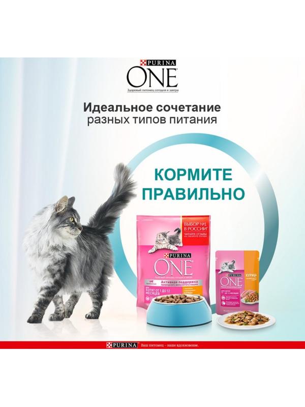 Влажный корм Purinа One для котят, курица/морковь, 75 г