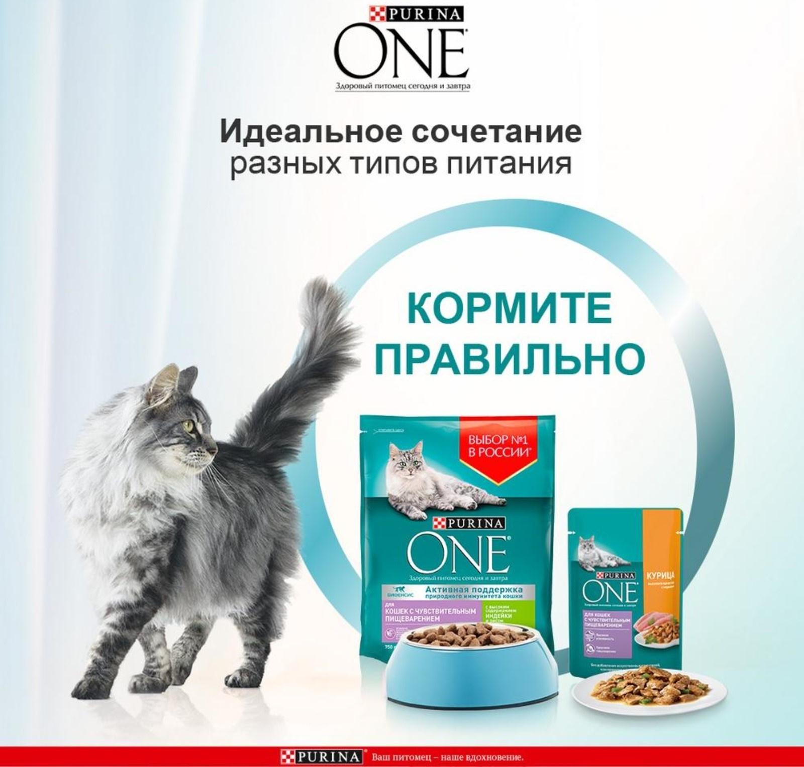 Влажный корм Purinа One для кошек, курица/морковь, 75 г