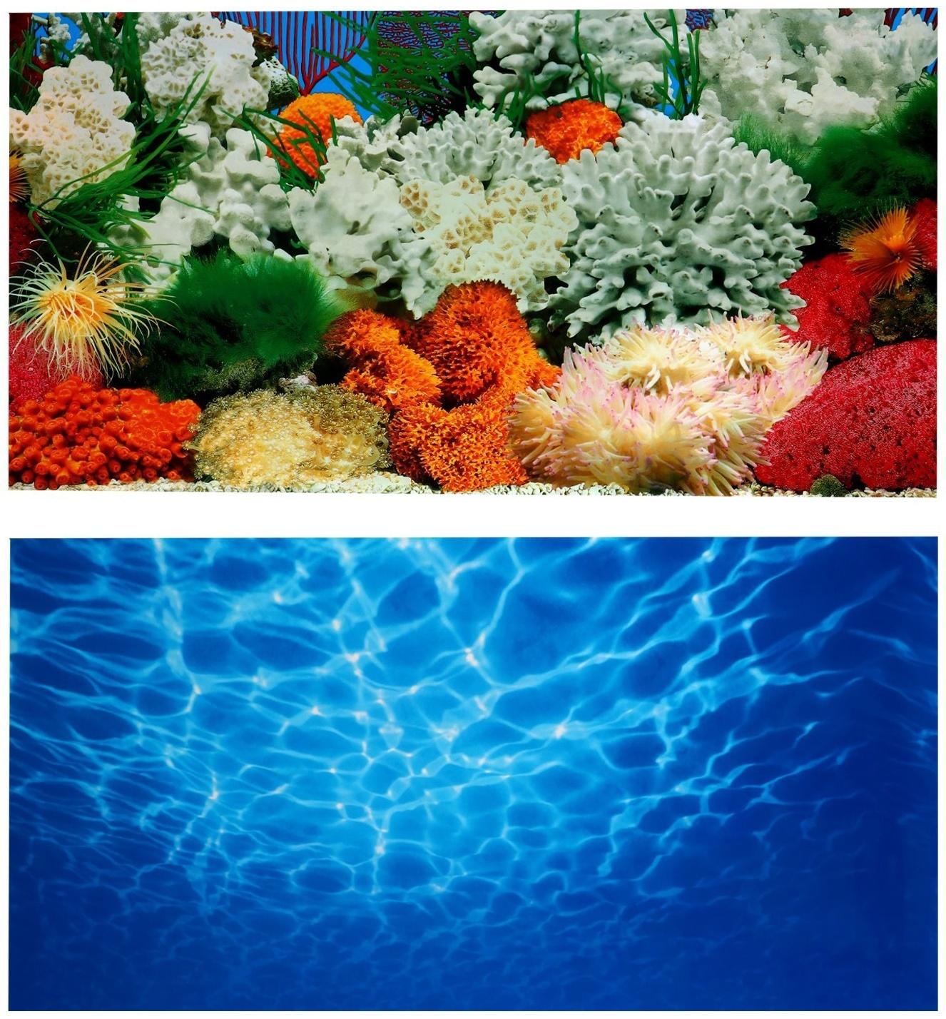 Фон для аквариума двухсторонний, 40 х 75 см