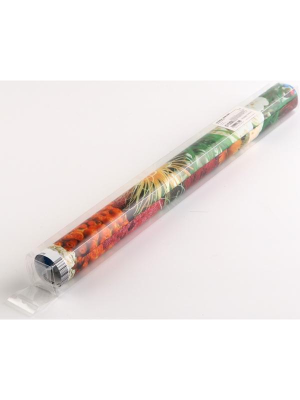 Фон для аквариума двухсторонний, 40 х 75 см