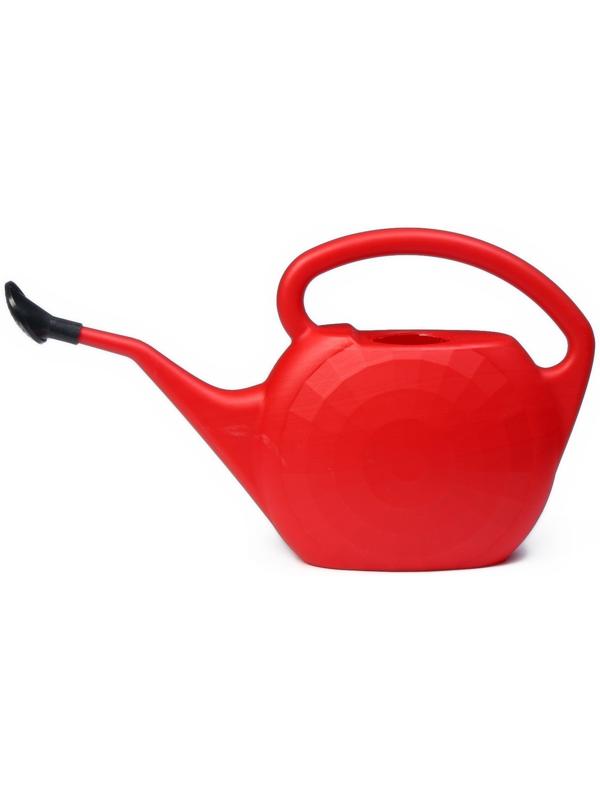 Лейка, 3,5 л, с рассеивателем, цвет МИКС