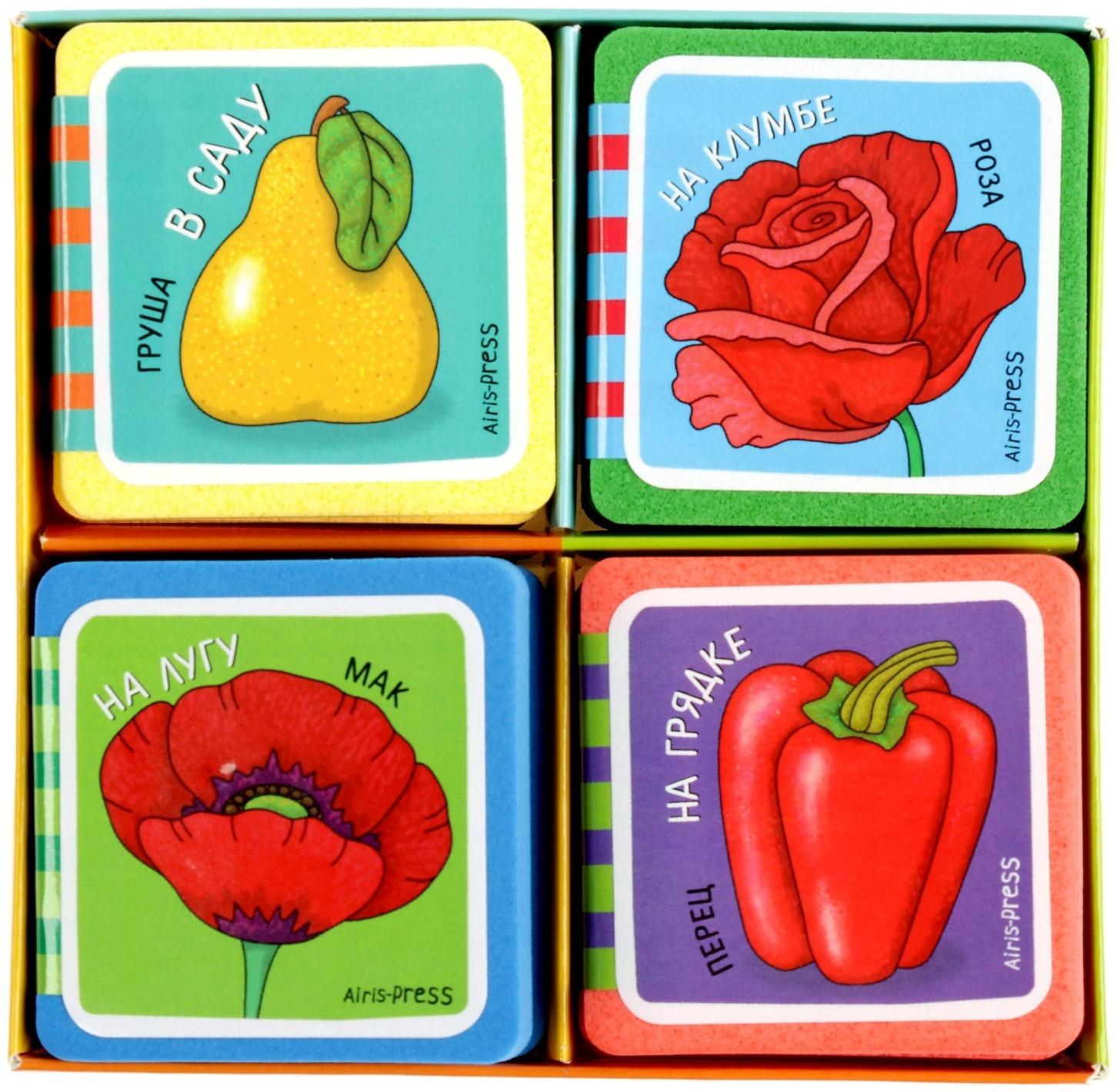 Мини-книжки. Что здесь растёт? Комплект из 4-х книг