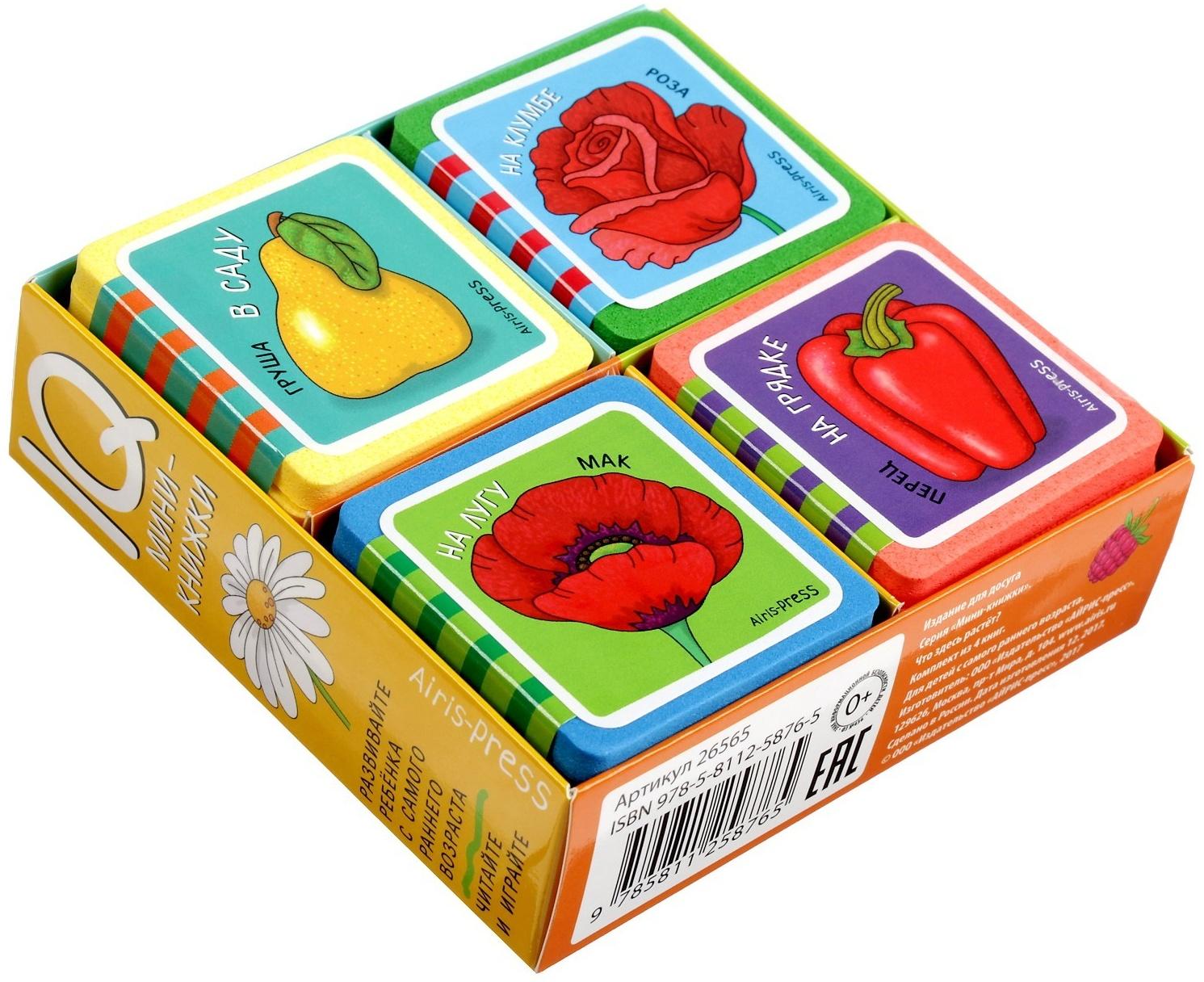 Мини-книжки. Что здесь растёт? Комплект из 4-х книг