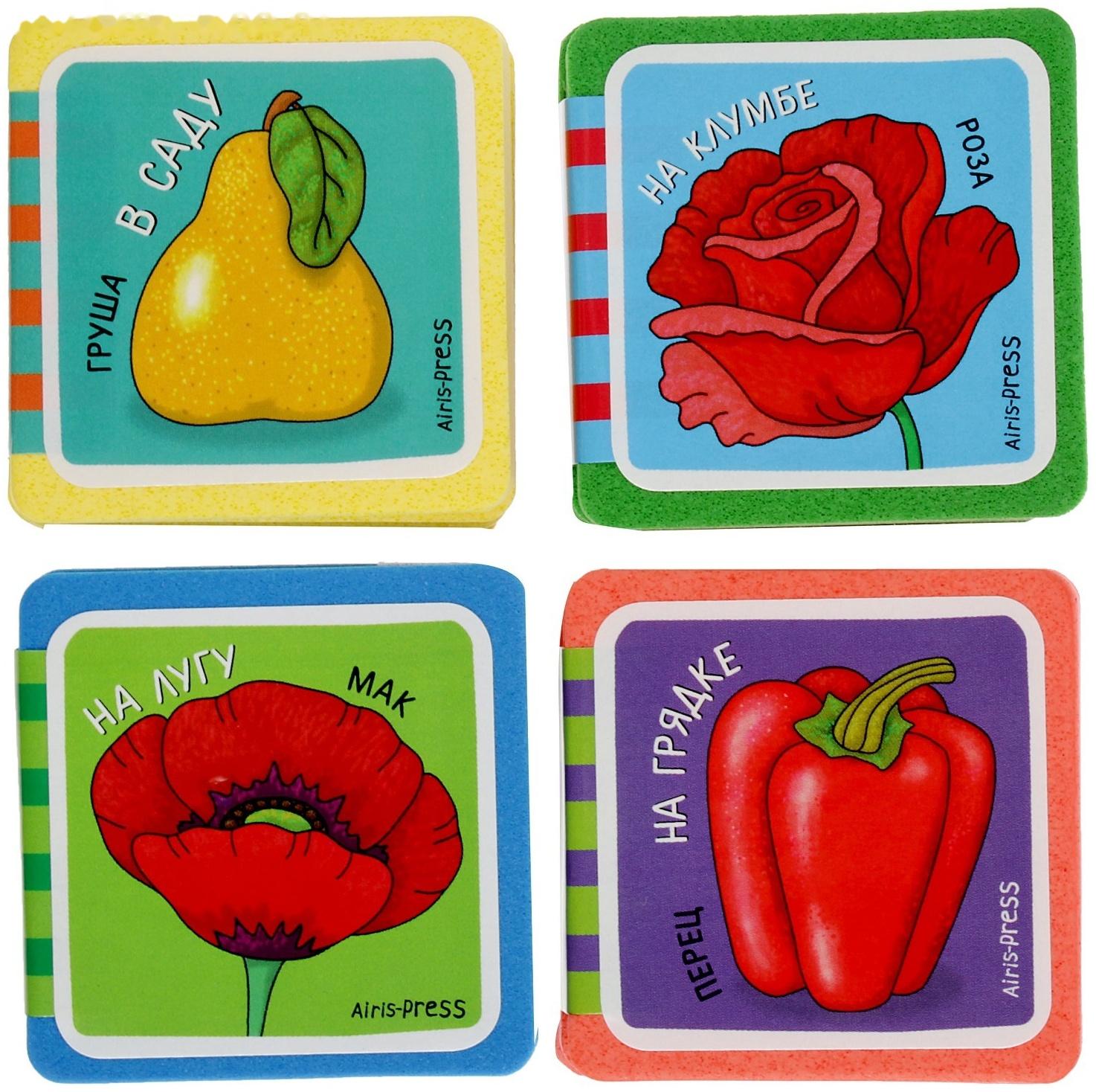 Мини-книжки. Что здесь растёт? Комплект из 4-х книг