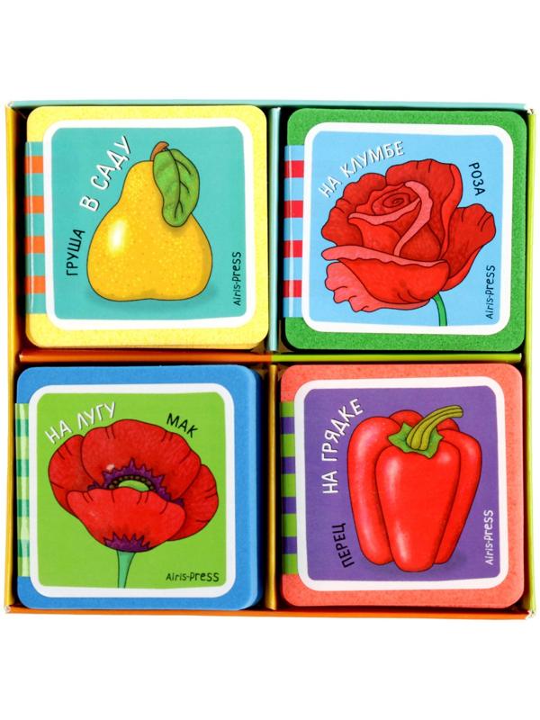 Мини-книжки. Что здесь растёт? Комплект из 4-х книг