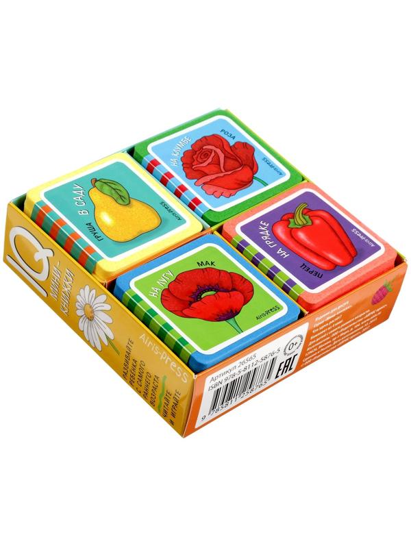 Мини-книжки. Что здесь растёт? Комплект из 4-х книг