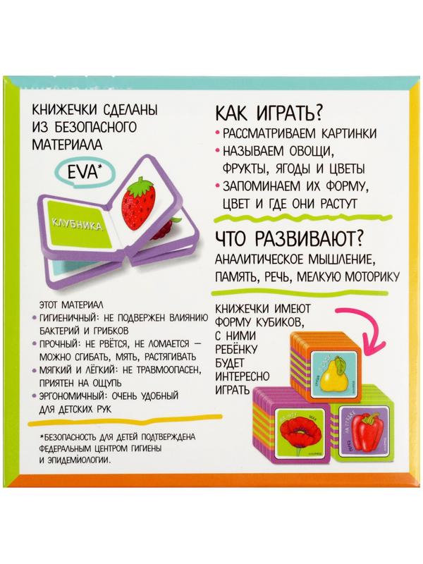 Мини-книжки. Что здесь растёт? Комплект из 4-х книг