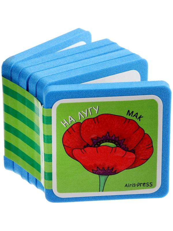 Мини-книжки. Что здесь растёт? Комплект из 4-х книг