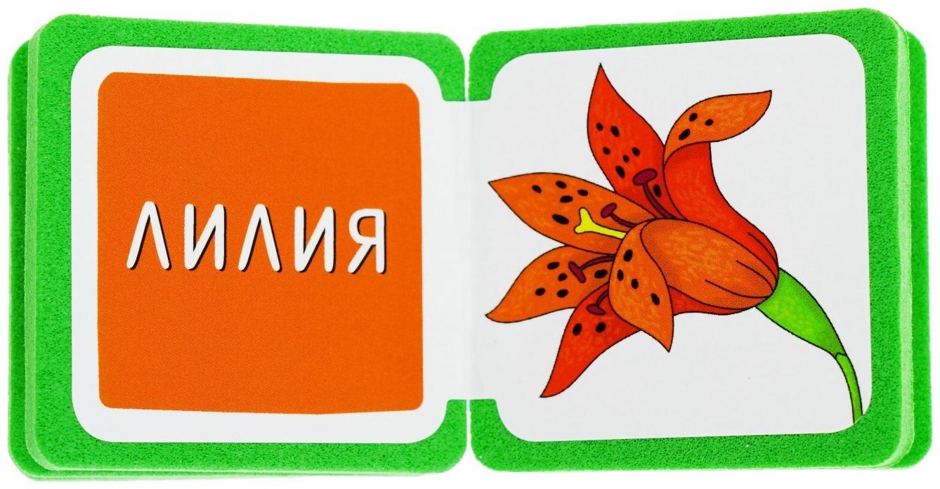 Мини-книжки. Что здесь растёт? На клумбе. Куликова Е. Н.