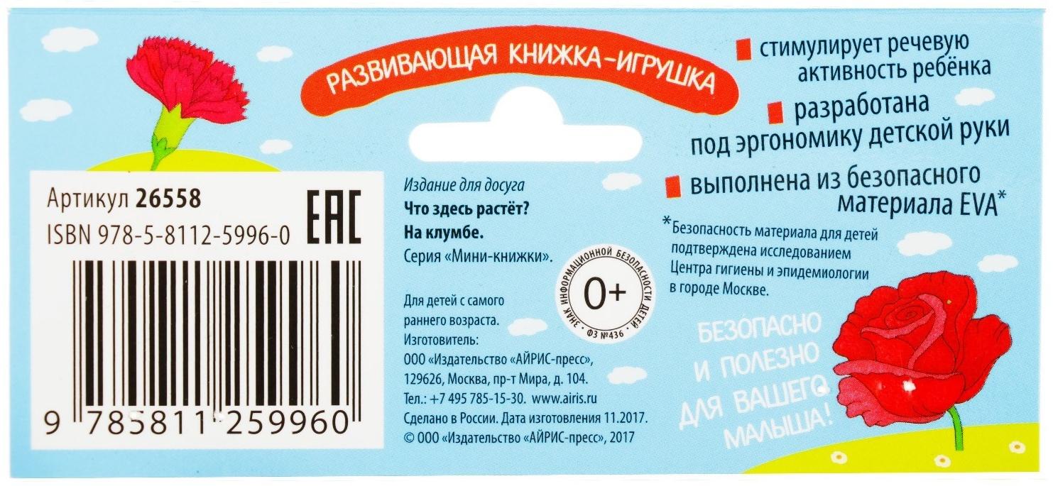 Мини-книжки. Что здесь растёт? На клумбе. Куликова Е. Н.
