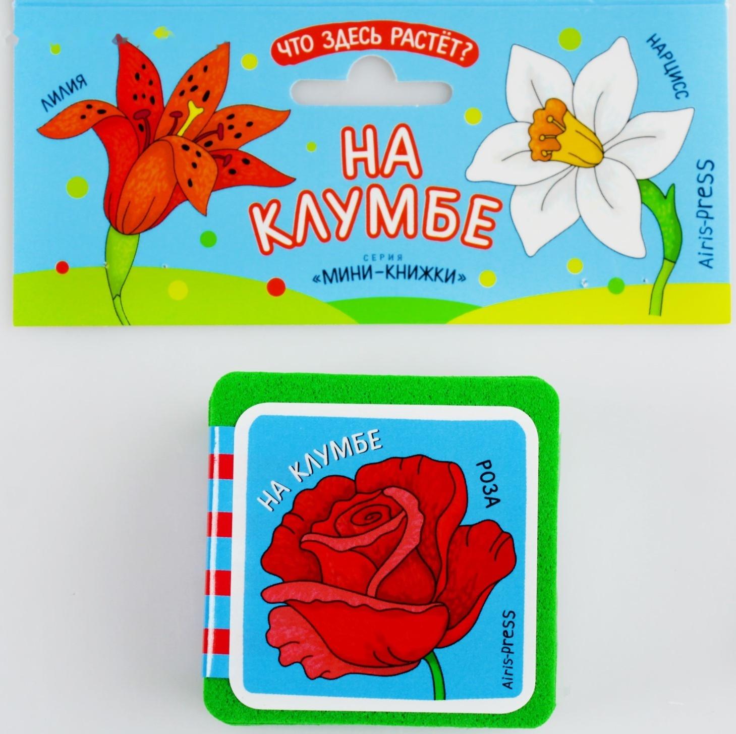 Мини-книжки. Что здесь растёт? На клумбе. Куликова Е. Н.