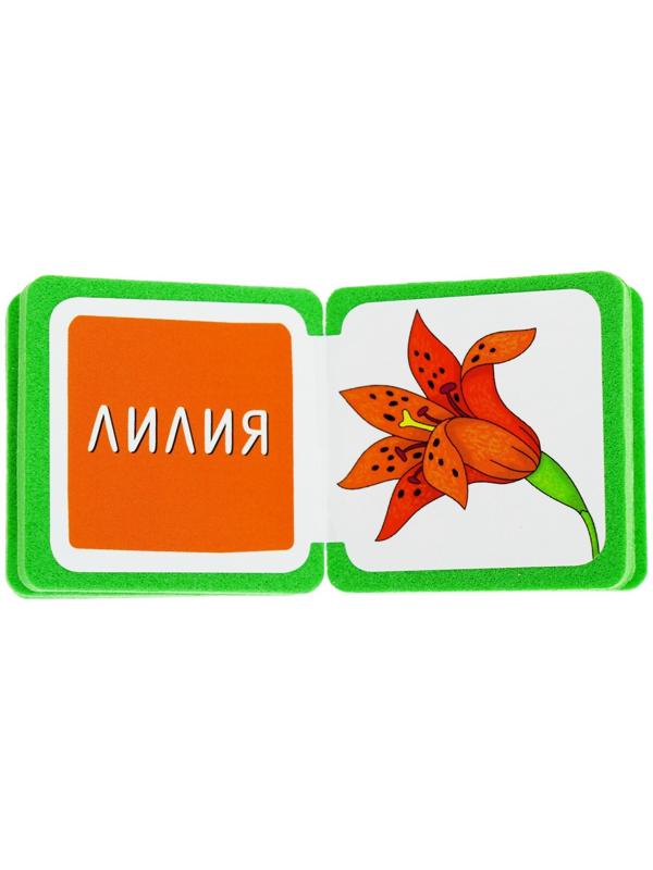 Мини-книжки. Что здесь растёт? На клумбе. Куликова Е. Н.