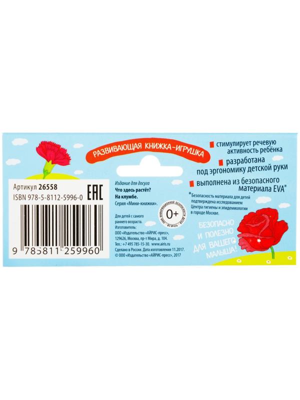 Мини-книжки. Что здесь растёт? На клумбе. Куликова Е. Н.