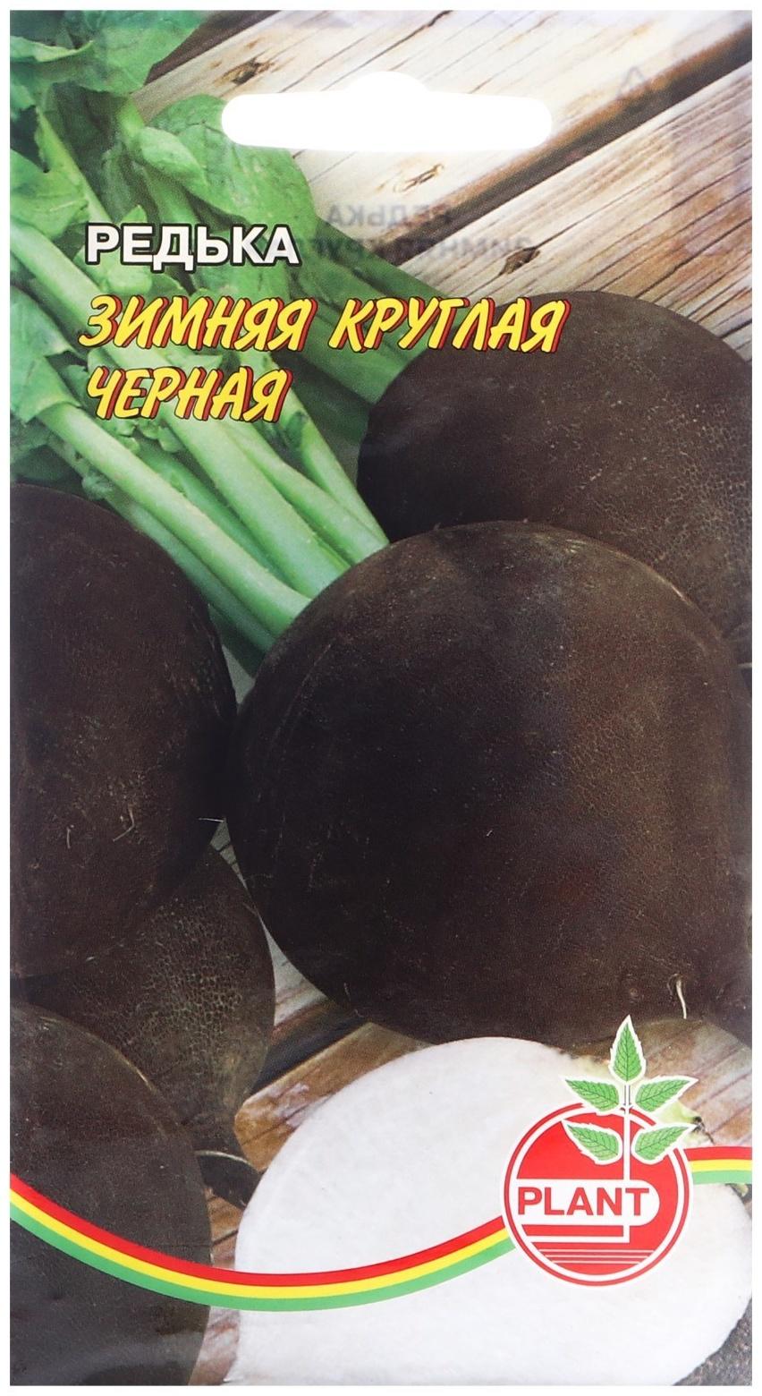 Семена Редька Круглая зимняя Черная, 1 г