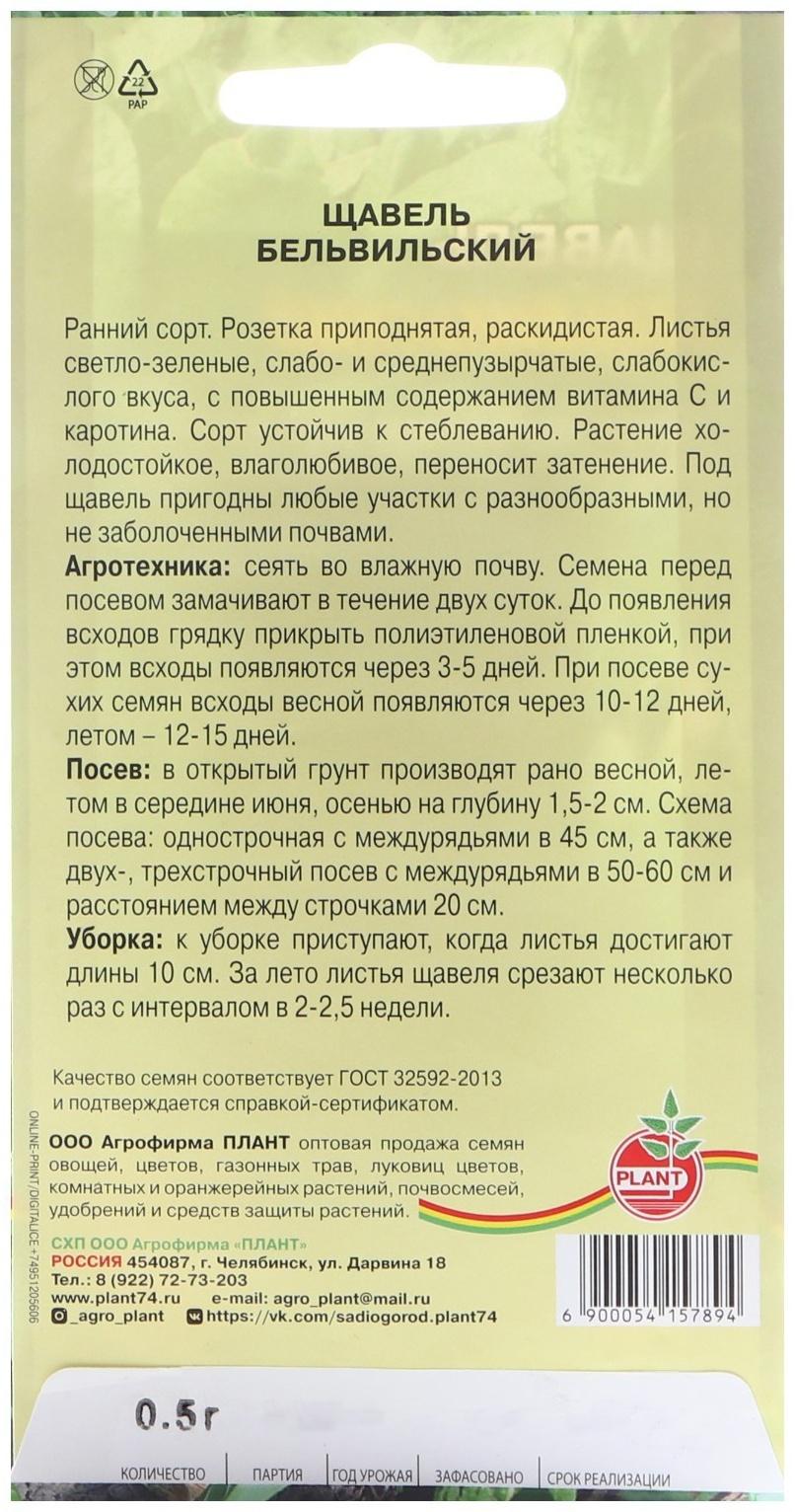 Семена Щавель 