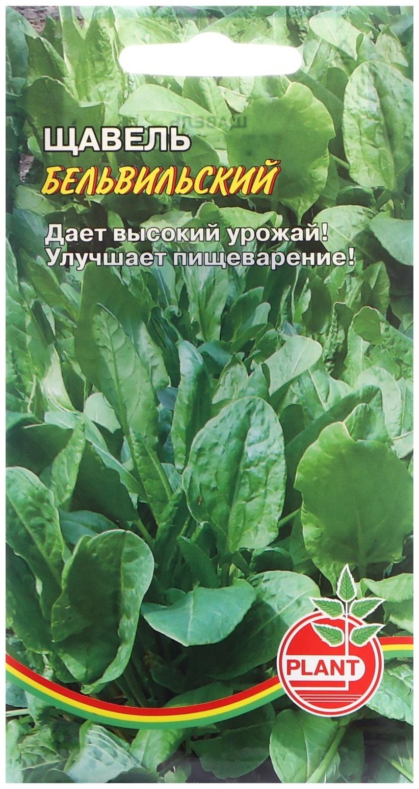 Семена Щавель 