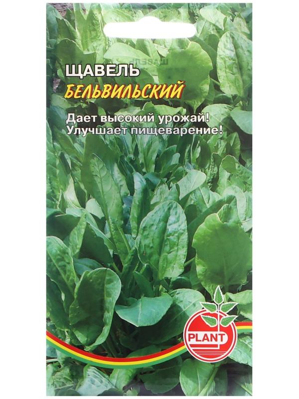 Семена Щавель 