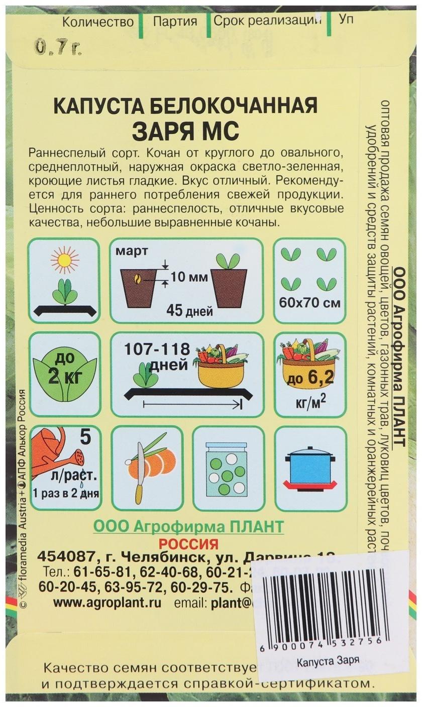 Семена Капуста белокочанная 