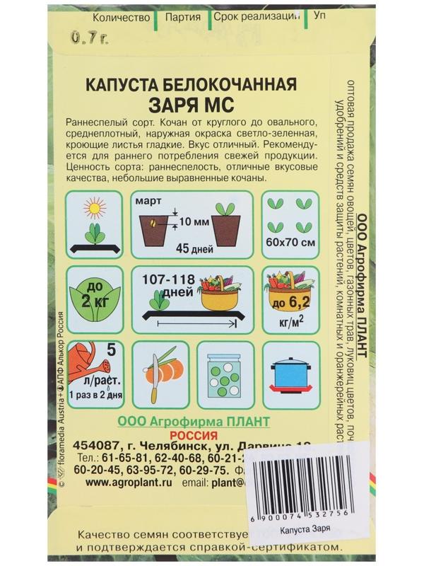 Семена Капуста белокочанная 