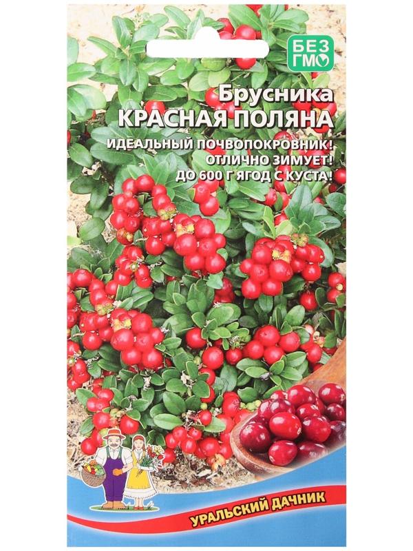 Семена Брусника 