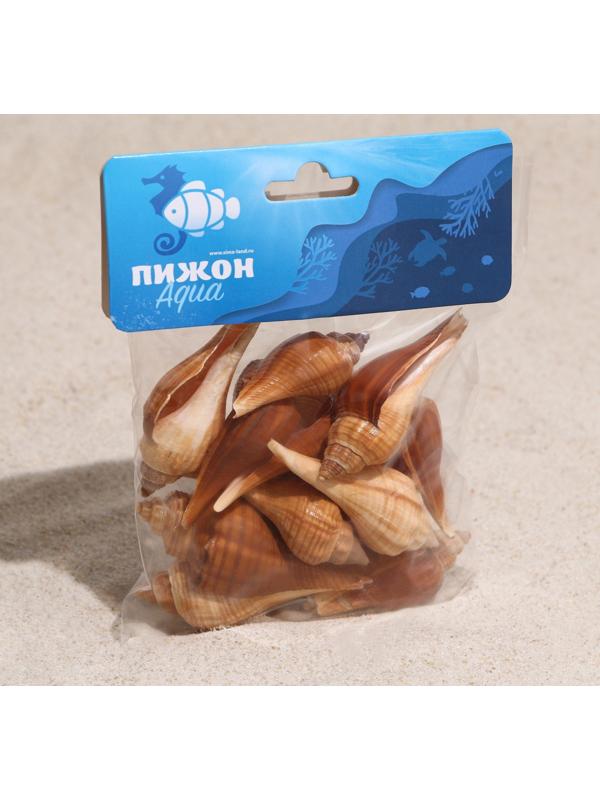 Набор ракушек, 3 - 5 см, 100 г