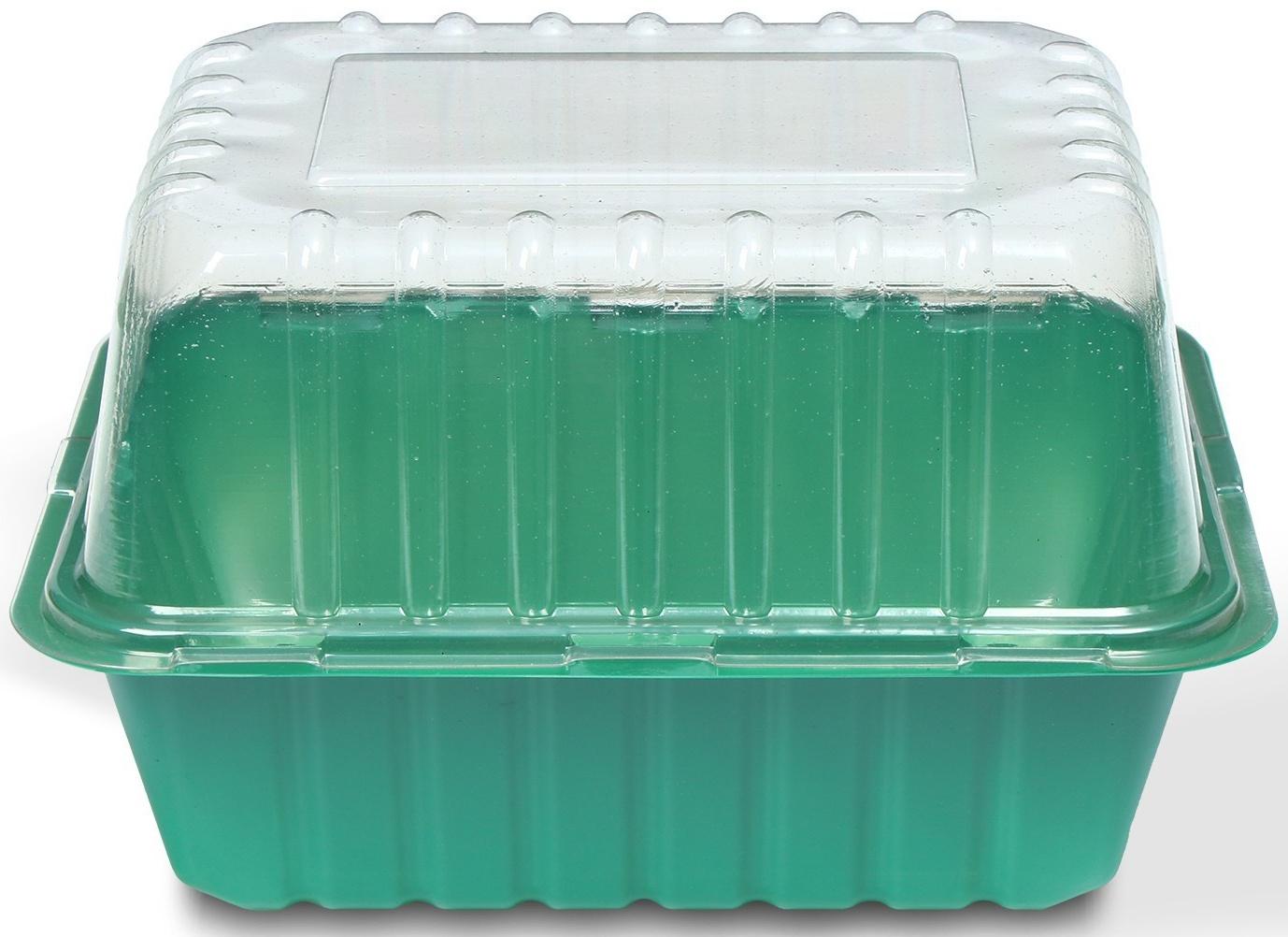 Мини-парник для рассады 21 × 16 × 6.5, без вставок, Greengo