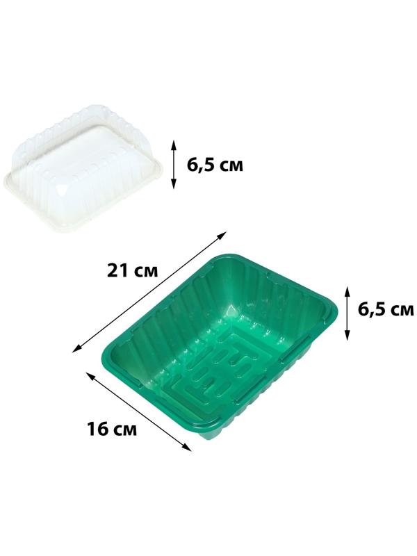 Мини-парник для рассады 21 × 16 × 6.5, без вставок, Greengo