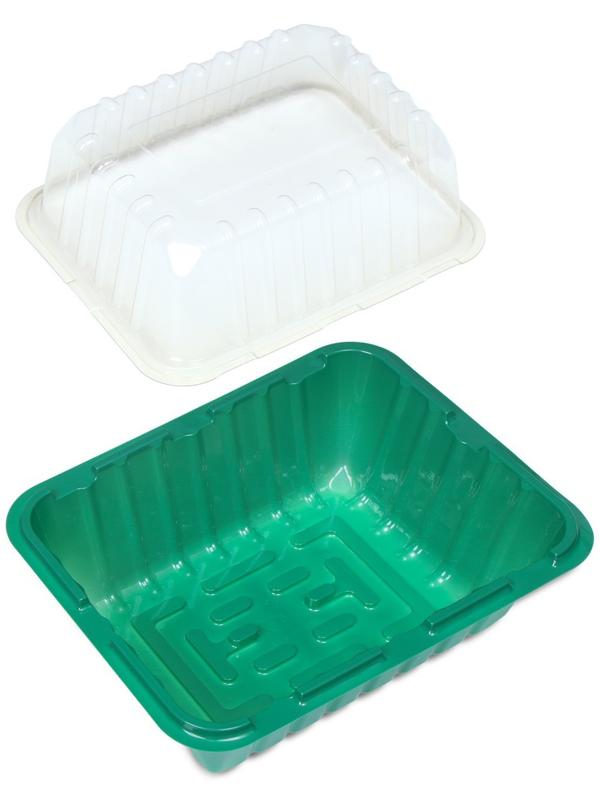 Мини-парник для рассады 21 × 16 × 6.5, без вставок, Greengo