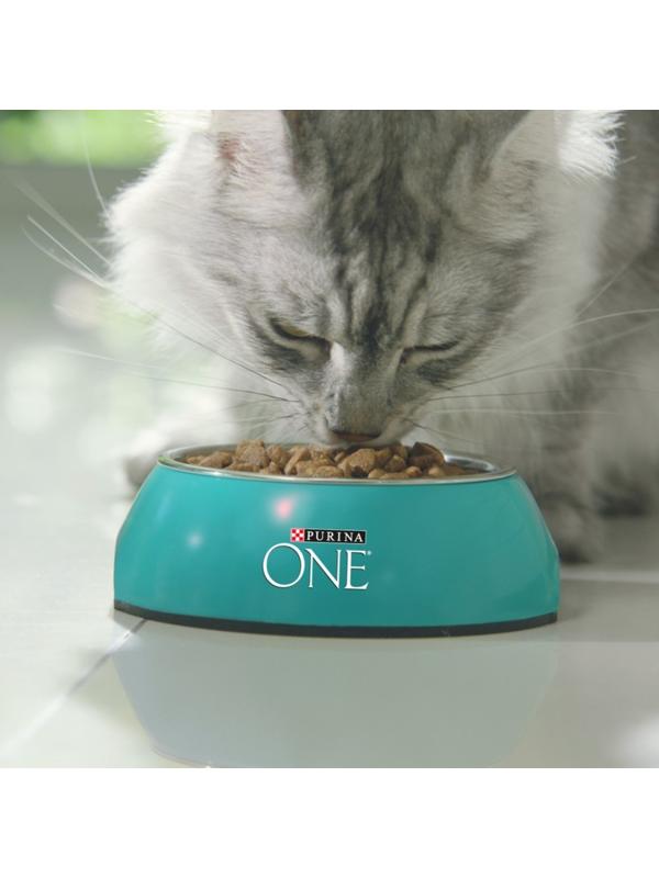 Сухой корм Purinа One для домашних кошек, индейка/злаки, 3 кг