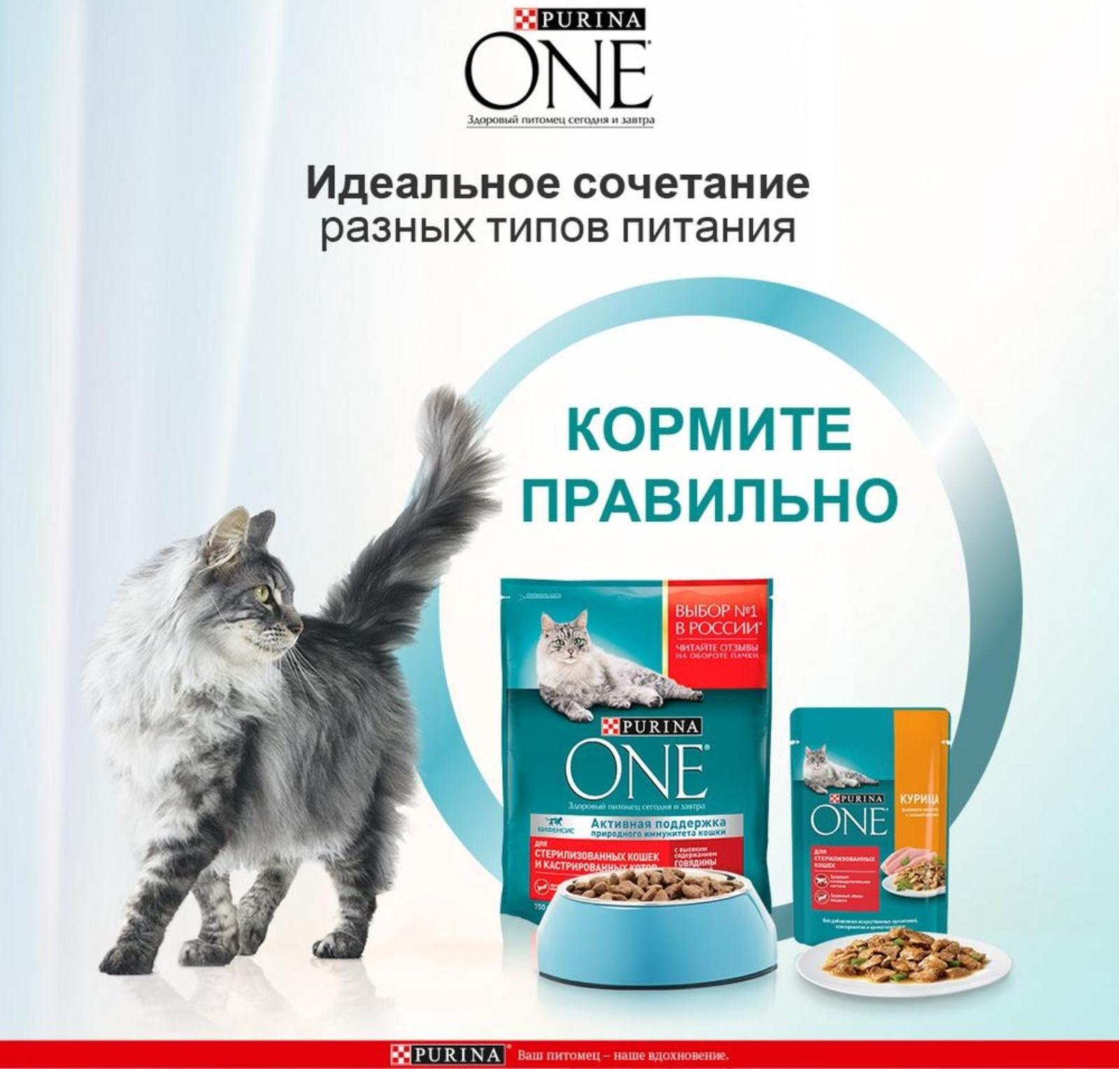 Сухой корм Purinа One для стерилизованных кошек, говядина/пшеница,3 кг
