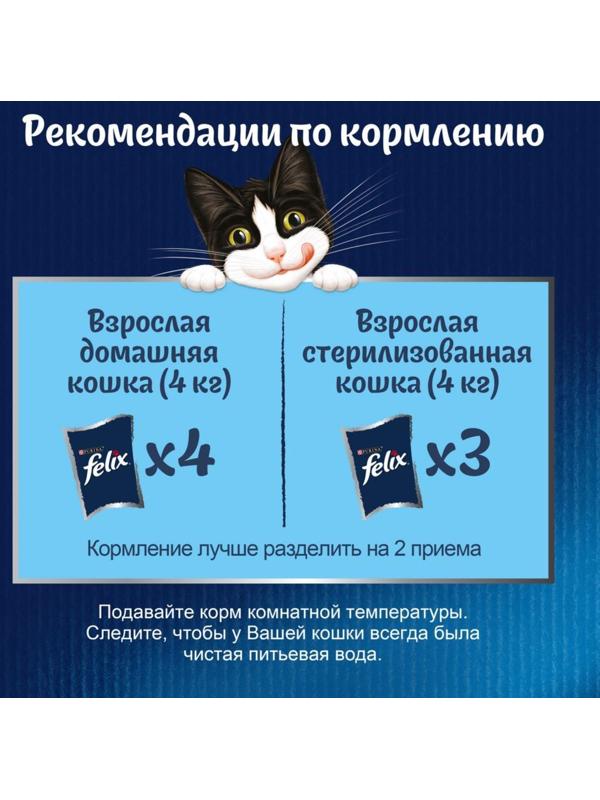 Влажный корм Felix Суп с говядиной, для кошек, 48 г