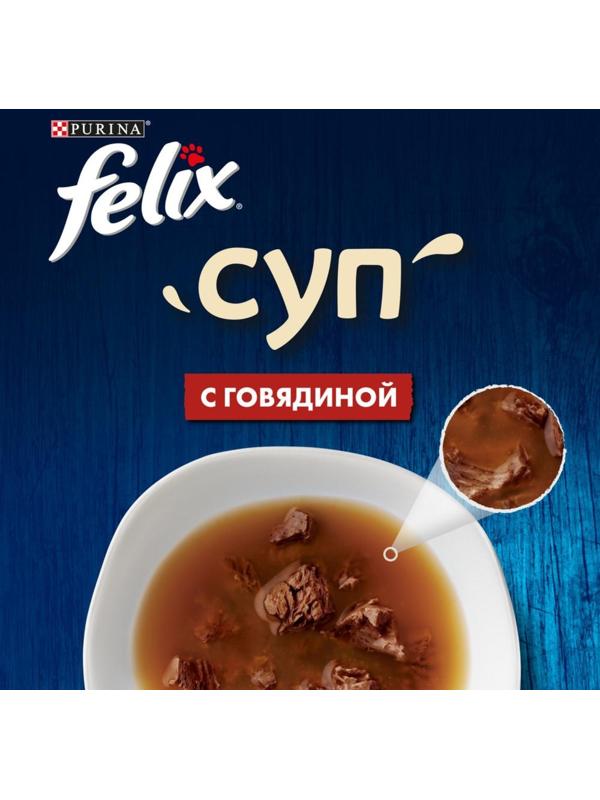 Влажный корм Felix Суп с говядиной, для кошек, 48 г