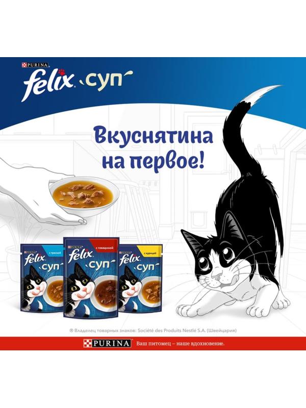 Влажный корм Felix Суп с говядиной, для кошек, 48 г