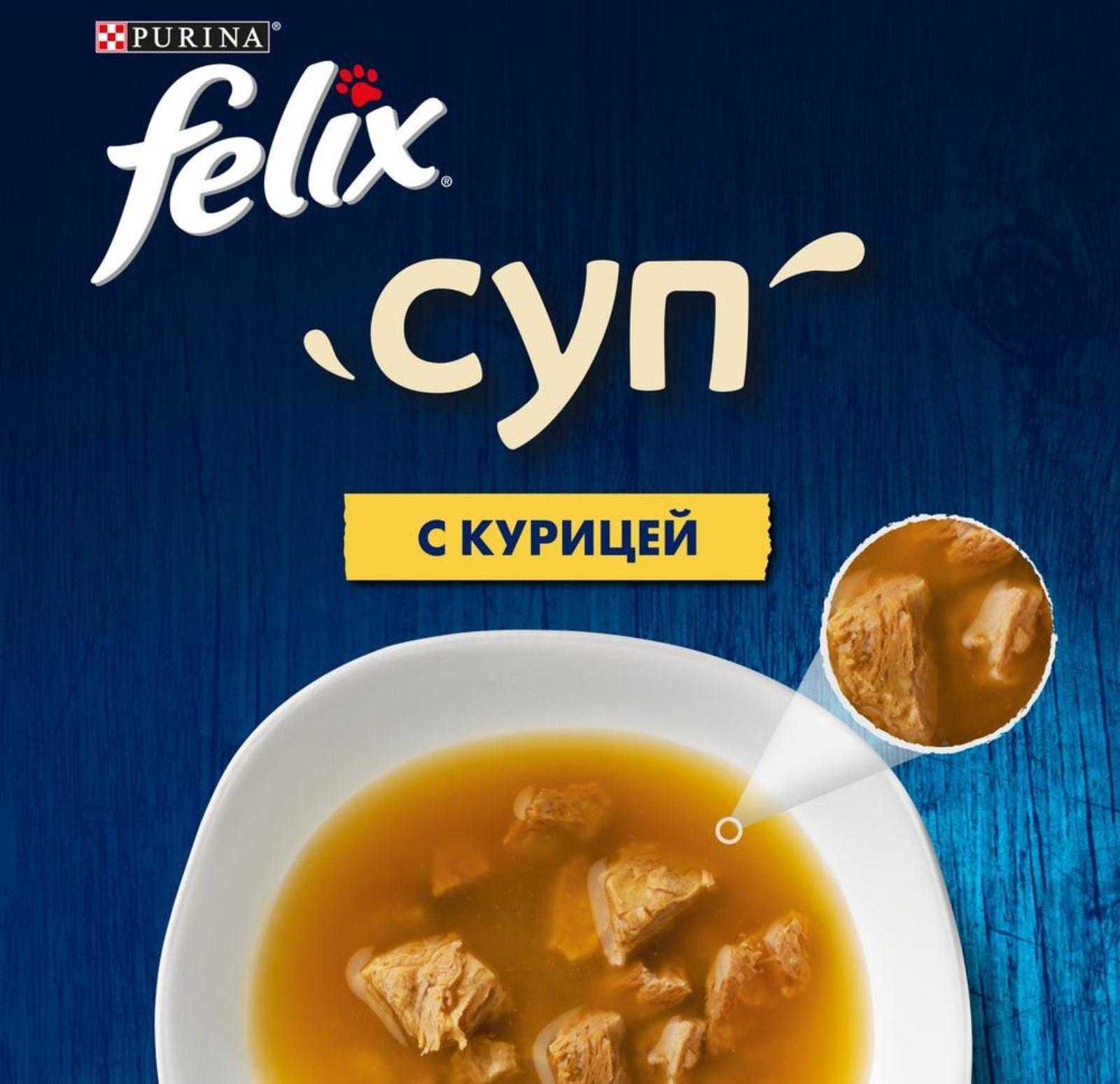Влажный корм Felix Суп с курицей, для кошек, 48 г